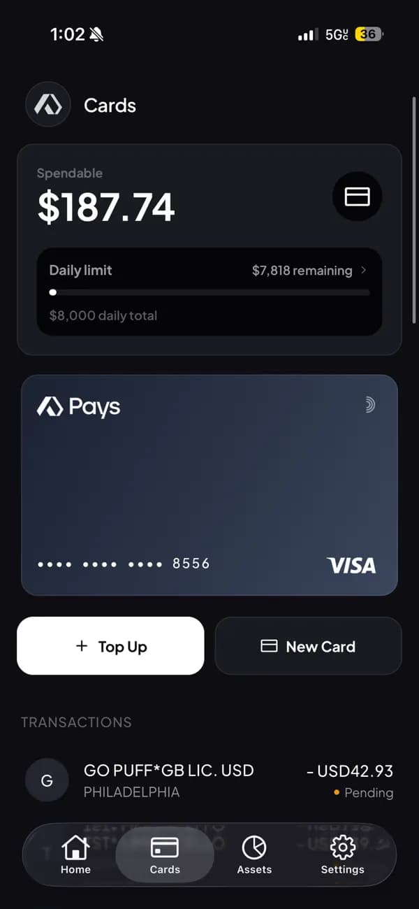 Pays card screen with spendable balance, daily limit, virtual Visa card, and card transaction